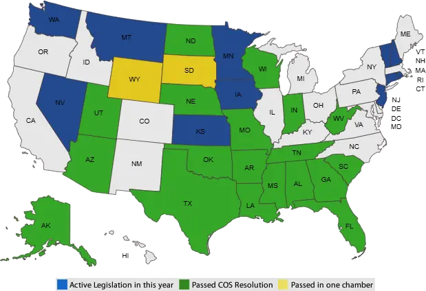 Convention of States Progress Map